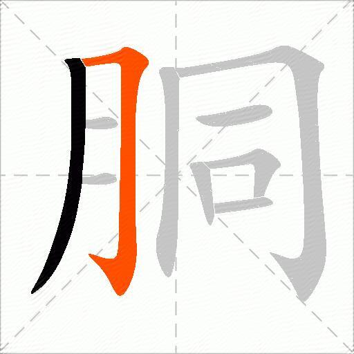 胴
