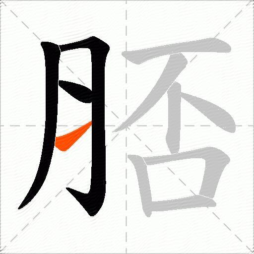 脴
