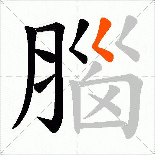 腦