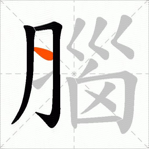 腦