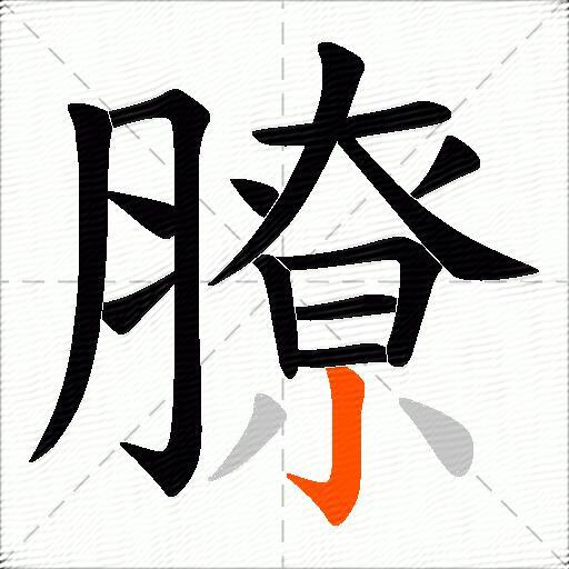 膫