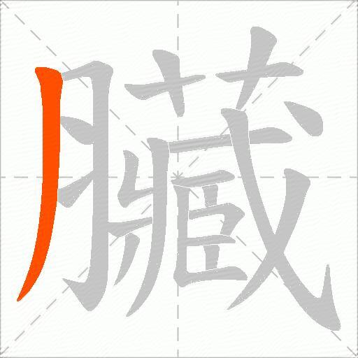 臟