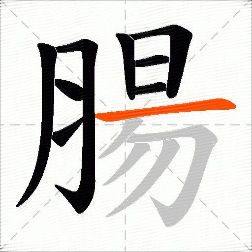 腸