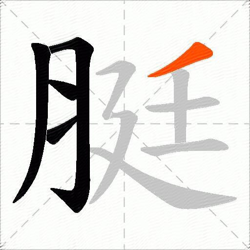 脡