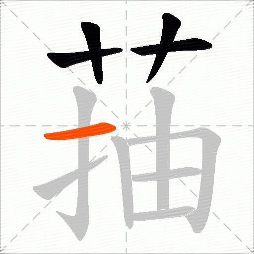 菗