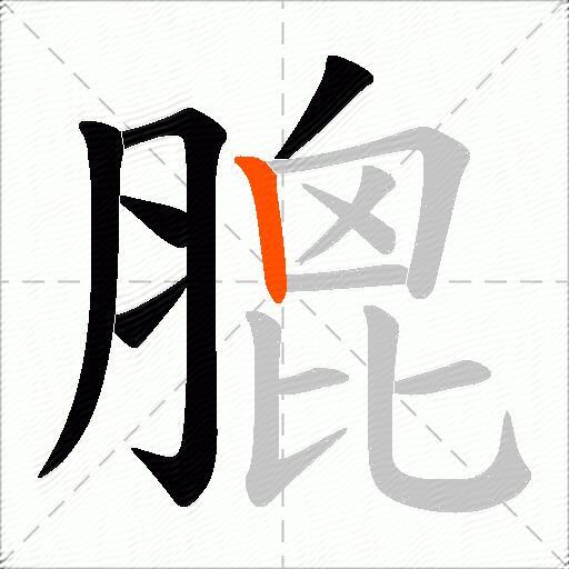 膍