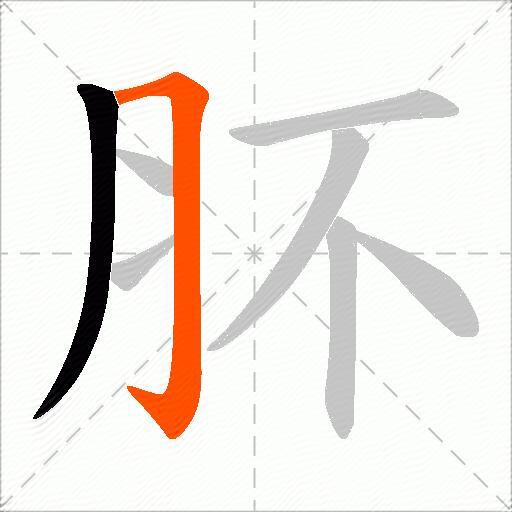 肧