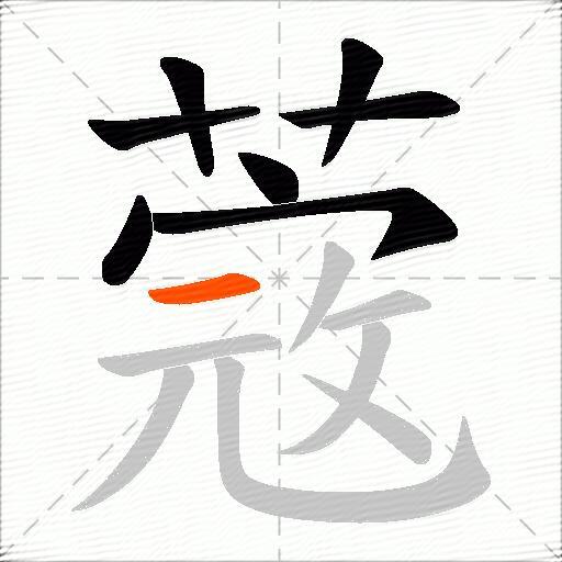 蔲