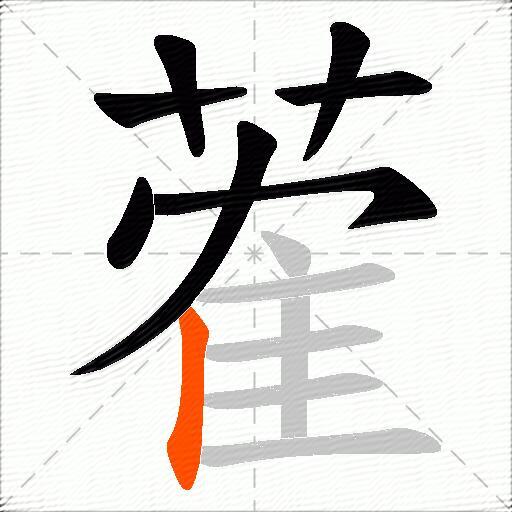 蒮