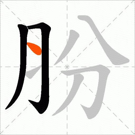 肦