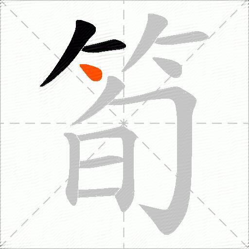 筍