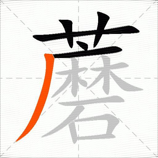蘑