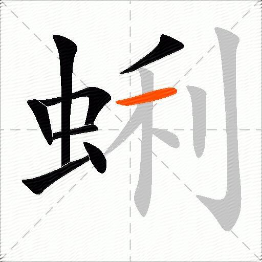 蜊