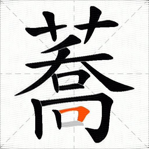蕎