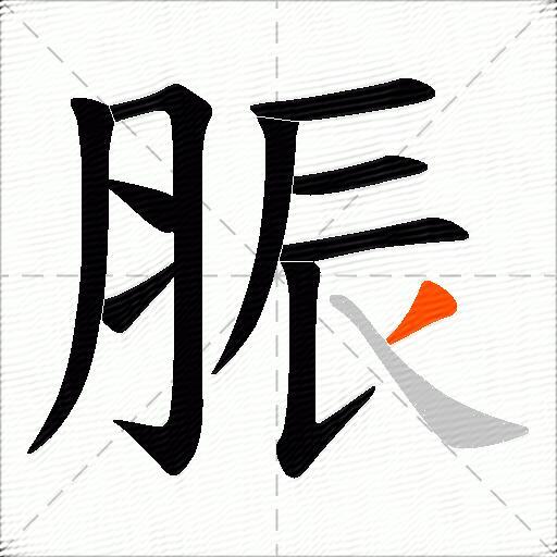 脤