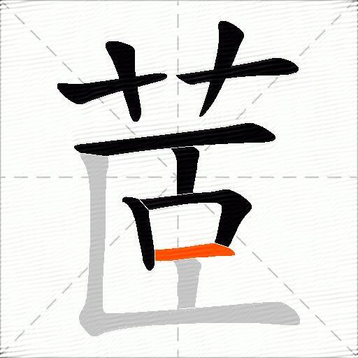 茝