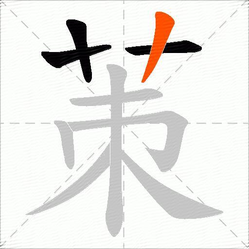 茦