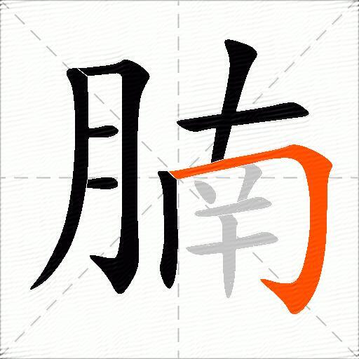 腩