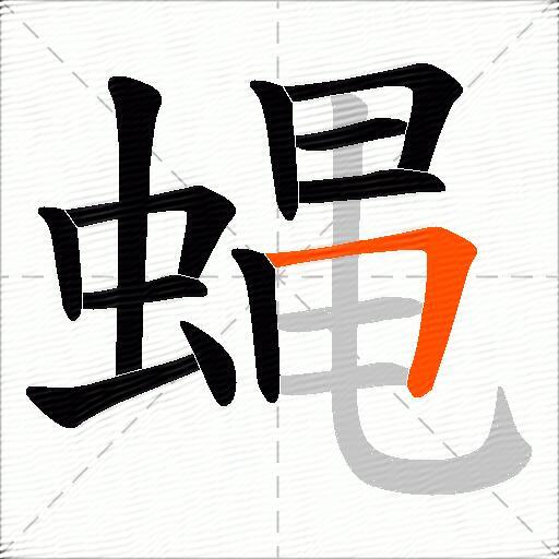 蝿