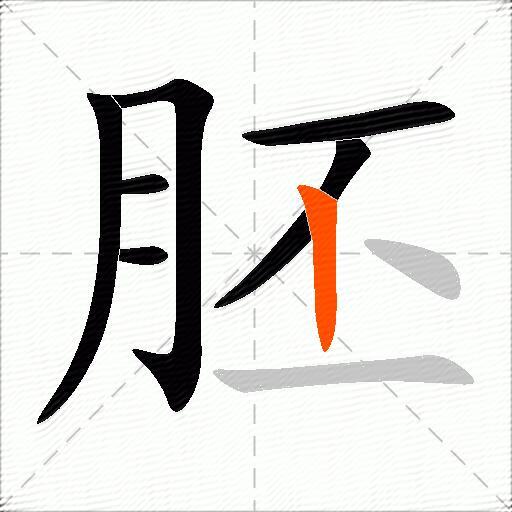 胚