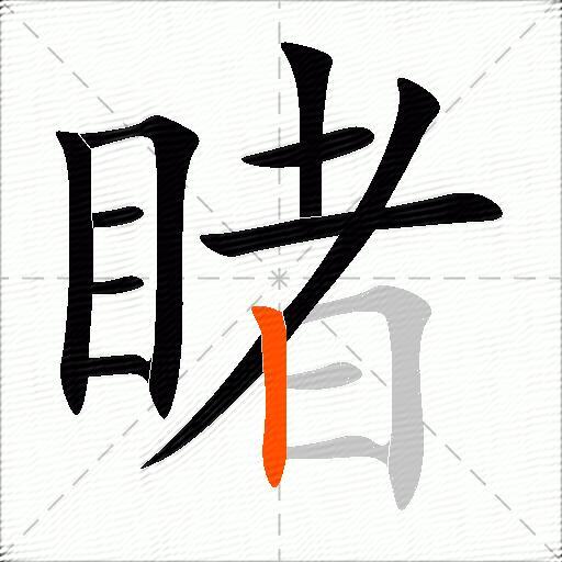 睹