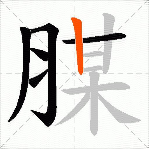 腜