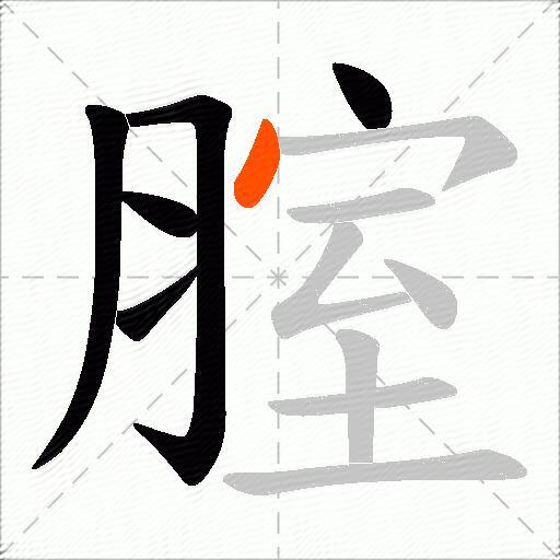 腟
