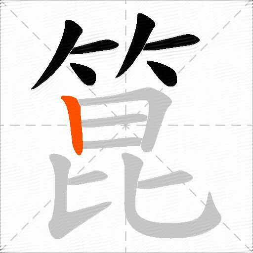 箟
