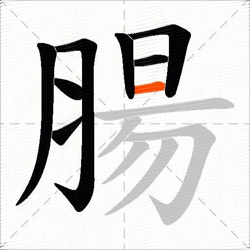 腸