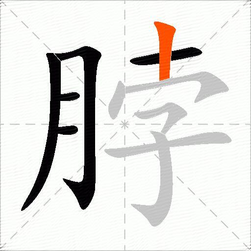 脖