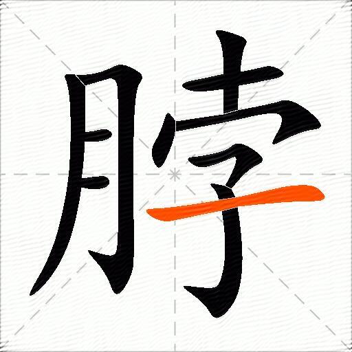 脖