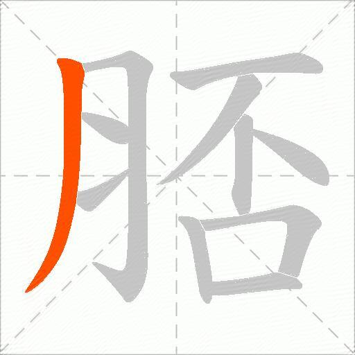 脴