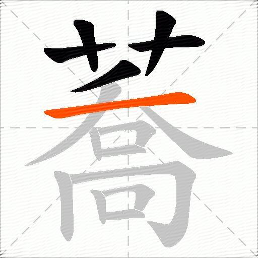 蕎