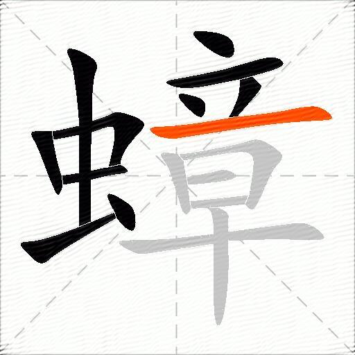 蟑