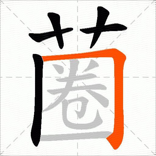 蔨