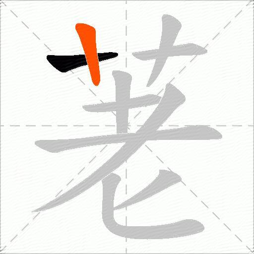 荖