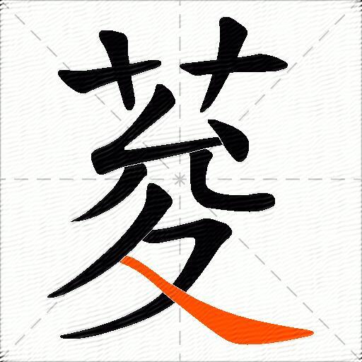 荾