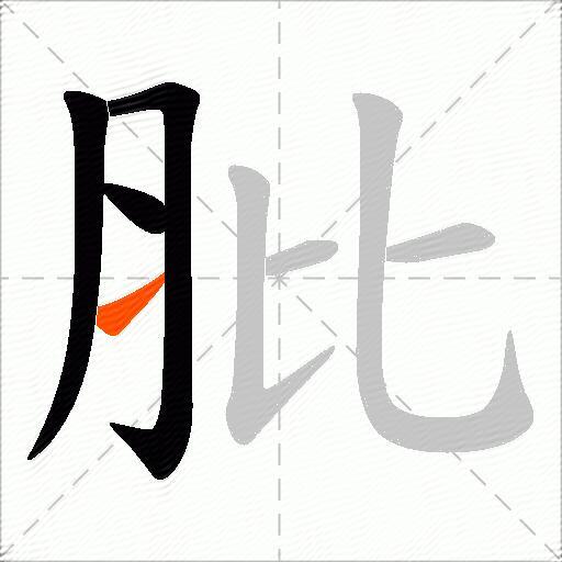 肶