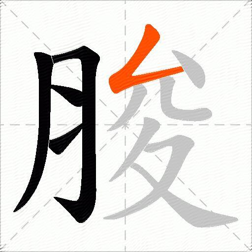 脧