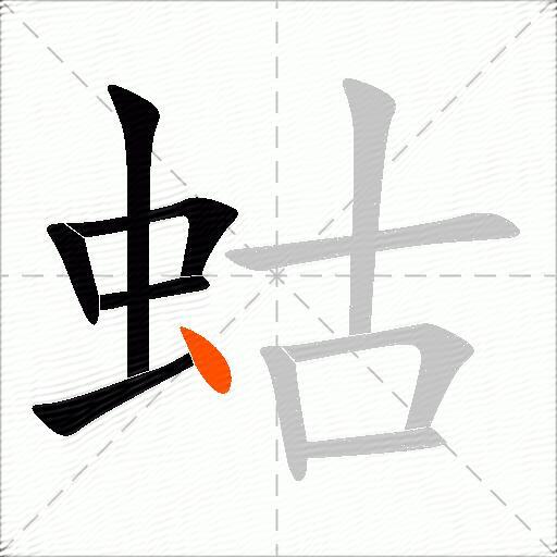 蛄