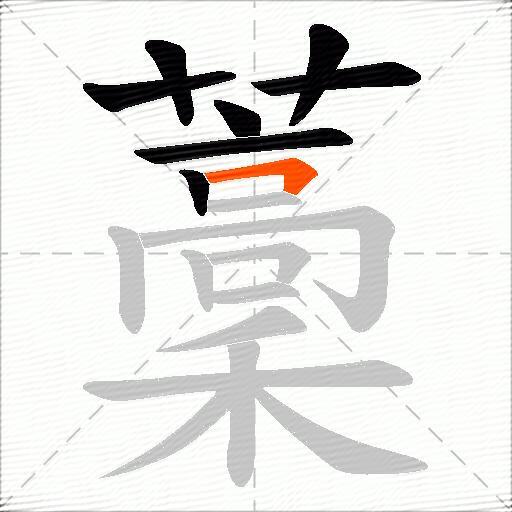 藳