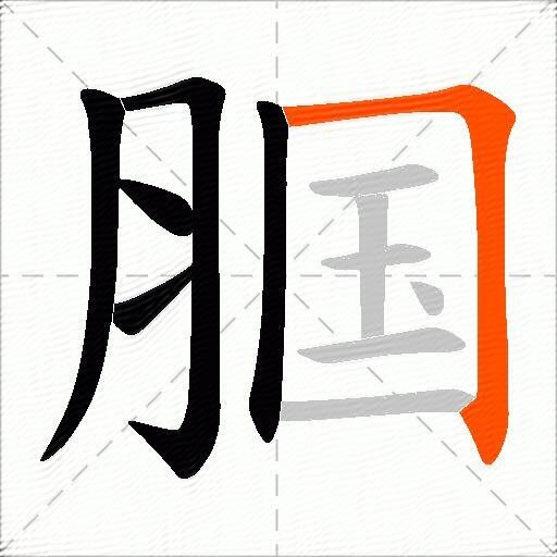 腘