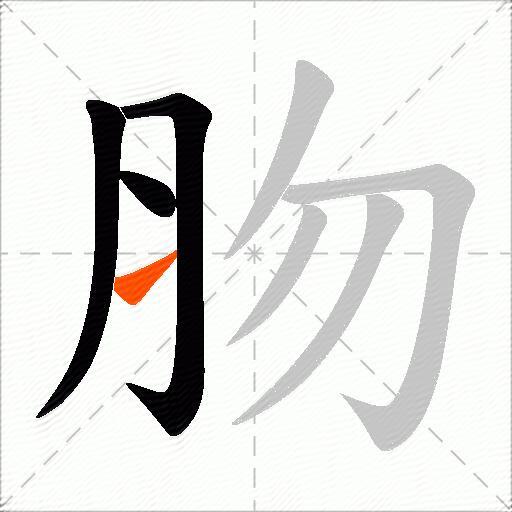 肳