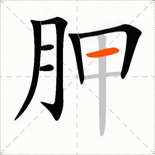 胛