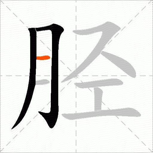 胫