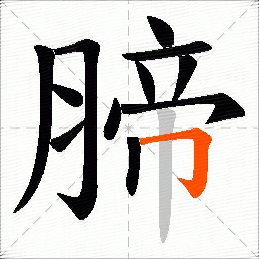 腣
