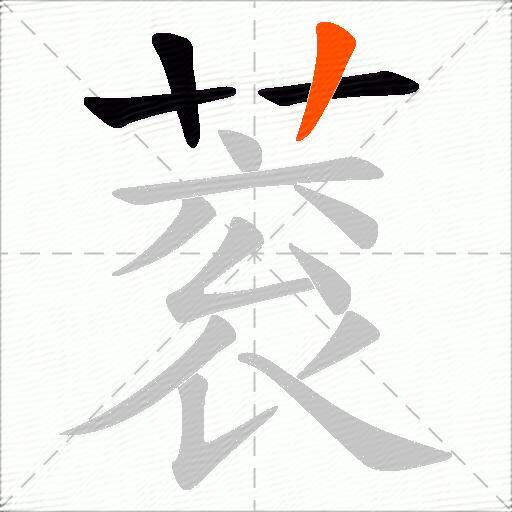 蓘