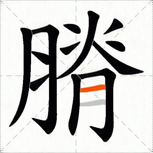 膌