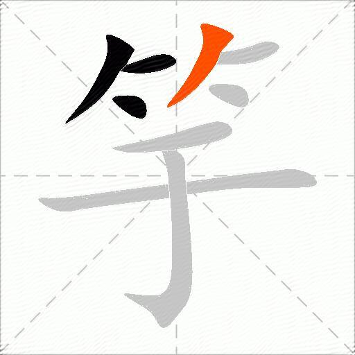 竽