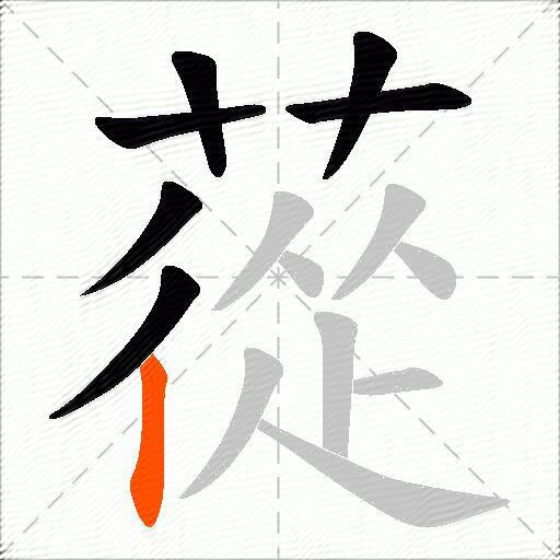 蓯